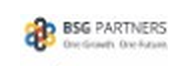 BSG PARTNERS